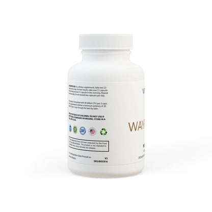 Wayfinder Gut Transit Probiotics + Prebiotics